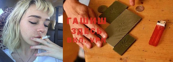 spice Богородицк