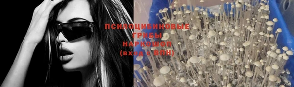 spice Богородицк