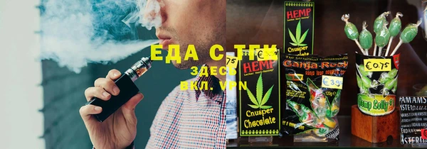 spice Богородицк